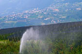 tkf003_560971