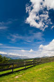 tkf003_560981