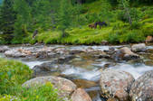 tkf003_560987