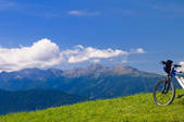tkf003_561003