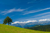 tkf003_561009