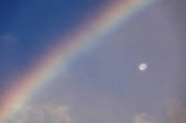 tkf003_564465