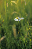 tkf003_570202