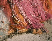 tkf003_585034