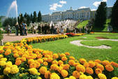 tkf003_654708