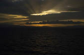 tkf003_659836