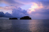 tkf003_659859