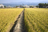 tkf003_686275