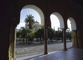 tkf003_712390