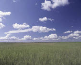 tkf003_713238