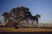 tkf003_715805