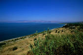 tkf003_716282