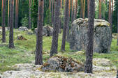 tkf003_808622