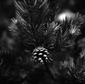 tkf003_812023
