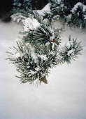 tkf003_812348