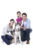 tkf003_959441