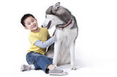 tkf003_998188