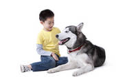 tkf003_998400