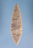 tkm001_174026