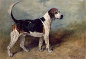 tkm001_189300
