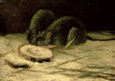 tkm001_189381
