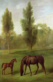 tkm001_189389