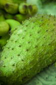 tkm001_508437