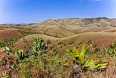 tkm001_510882