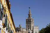 tkm001_520527