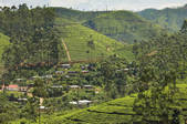 tkm001_521491