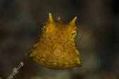 tkm001_538198