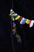 tkm001_538245