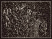 tkm001_538475