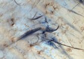 tkm001_541878
