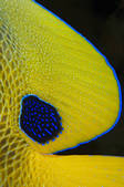 tkm001_542648