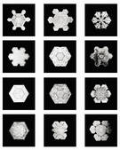 tkm001_545151