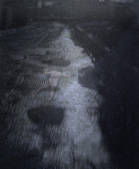 tkm001_588109