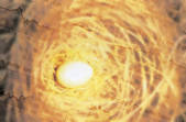 tkm001_599435
