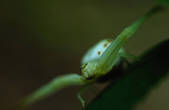 tkm001_601321