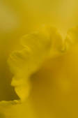 tkm001_607172