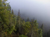 tkm001_617174