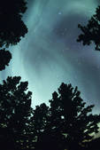 tkm001_617192