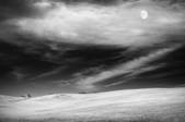 tkm001_617218