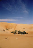 tkm001_626247