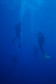 tkm001_628288