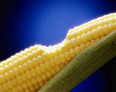 tkm001_681142