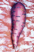 tkm001_704212