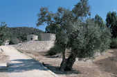 tkm001_767253
