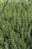 tkm001_770200