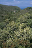 tkm001_770292